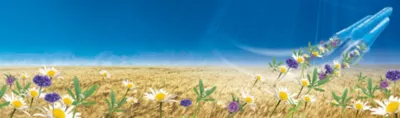Biostimulanzien- Neue Lösungen natürlichen Ursprungs