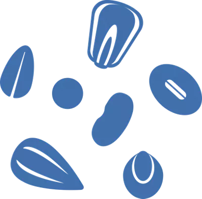 Application Icon