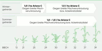 Ariane C Anwedungsempfehlung