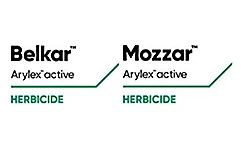Belkar™ Arylex™ active / Mozzar™ Arylex™ active
