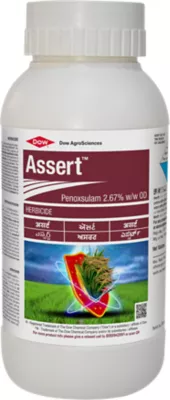 Assert