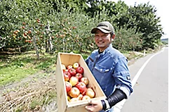 アブラムシ防除の切り札。リンゴのトップシェア産地で採用される「トランスフォーム™ フロアブル」