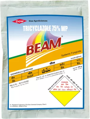 Beam
