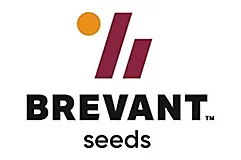 Semence Brevant™