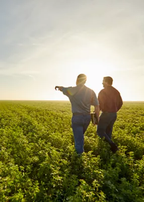 Imagen de dos personas en el campo