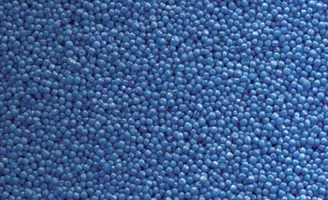 Blue canola seed