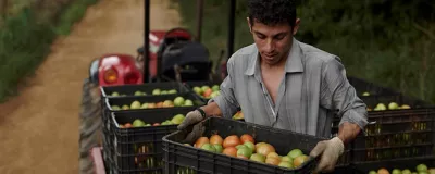 man carrying crate of tomatoes