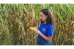 BlueN sustainability
