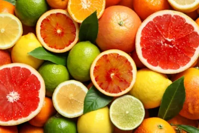 Citrus banner 2