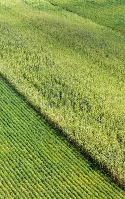 Products and Services landing seeds