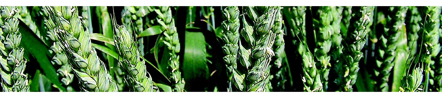 Crop Protection