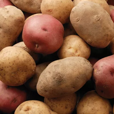 Potatoes