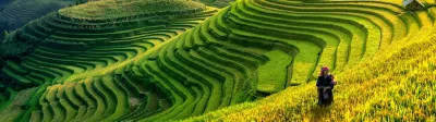 tiered field with two people