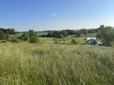 DeBruin ranch
