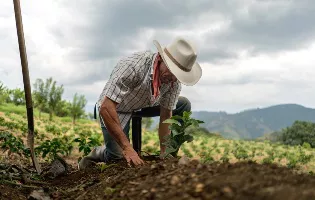 IMG-FarmerPlantingCrop-OutsideInField-328x200