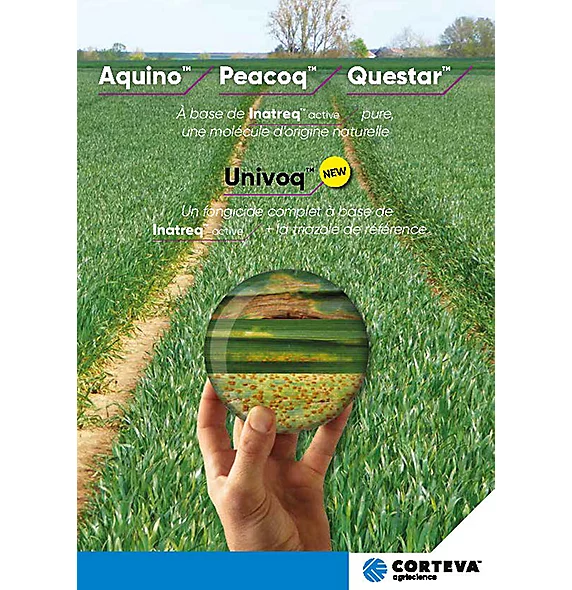 IMG-Fongicides-cereales-a-base-d-Inatreq-Active.jpg