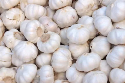 Garlic Banner