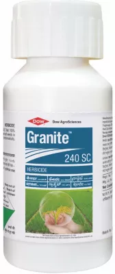 Granite