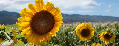 IMG-Homepagehero1_community_desktop_new