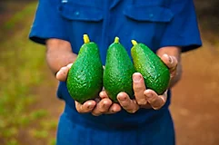 Food Security