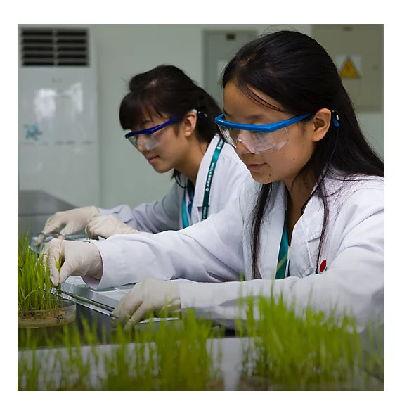 Two female lab technicians work with plants.