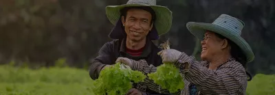 Two farmers holding lettuce