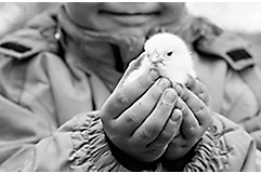 Concurso de Fotografia