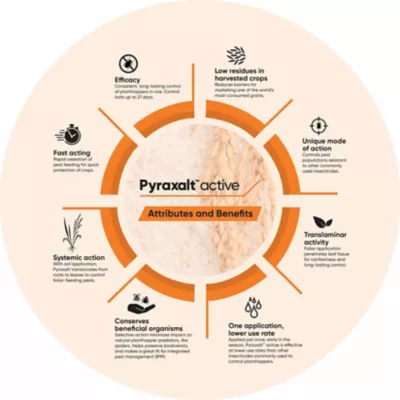 IMG-Pyraxalt-Benefit-infographic