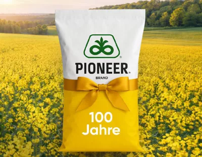 Download Broschüre