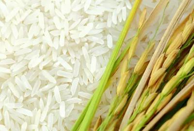 Rice Banner
