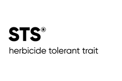 STS logo