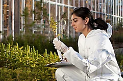 Scientist Checking Plant Research