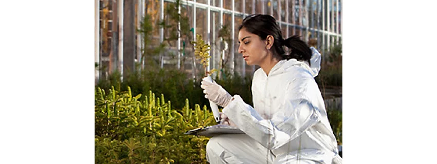 Female scientist checking plant