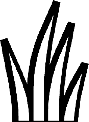 Grass
