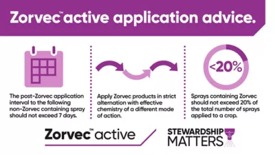 The image provides Zorvec application advice.