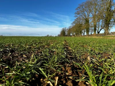 Our latest Agronomy Update