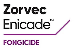 Zorvec Enicade® Fongicide
