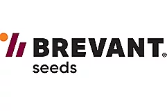 Brevant Logo