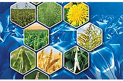 crops in hexagons