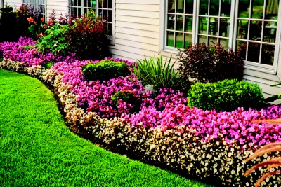 turf and ornamental plants