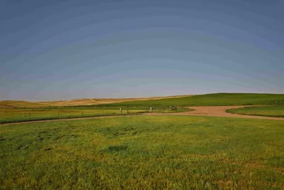 grain fields fencerow