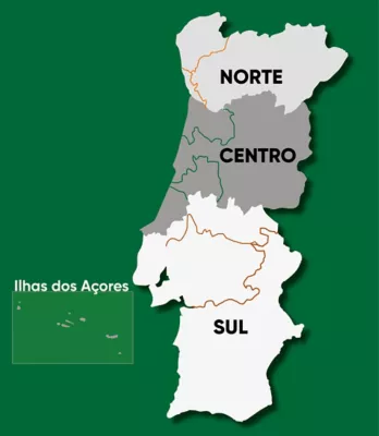 Mapa Assesores Técnicos Pioneer