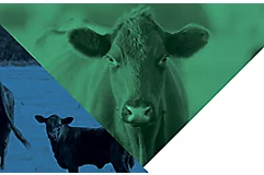 Range and Pasture Management Guide