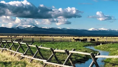 Rangeland fence with cows and mountains