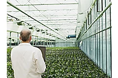 a lab technician in a greenhouse