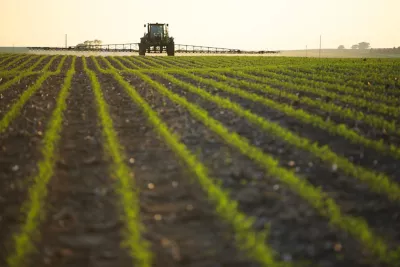 sprayer in early corn field
