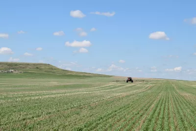 Sprayer in field of green grains