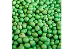 treated soybean seeds