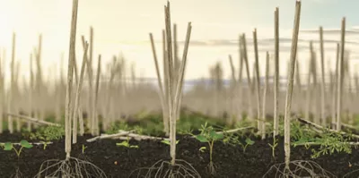 Above-Below Pre-Seed