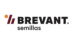 Logo da Brevant